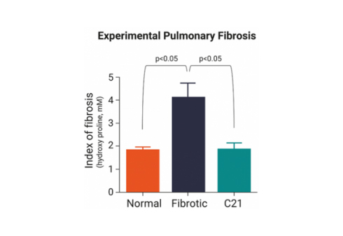 https://vicorepharma.com/wp-content/uploads/2021/03/experimental-pulmonary-fibrosis.jpg